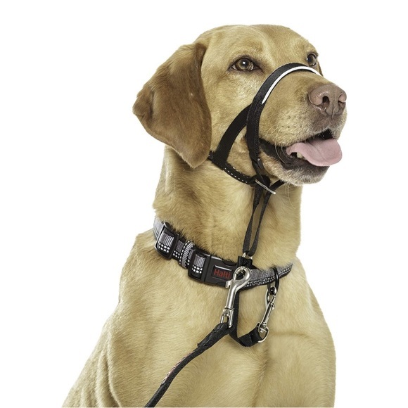 Halti Head Collar No Pulling for Loose Leash Walking Large Dog Collar Size 3 - Picture 1 of 5